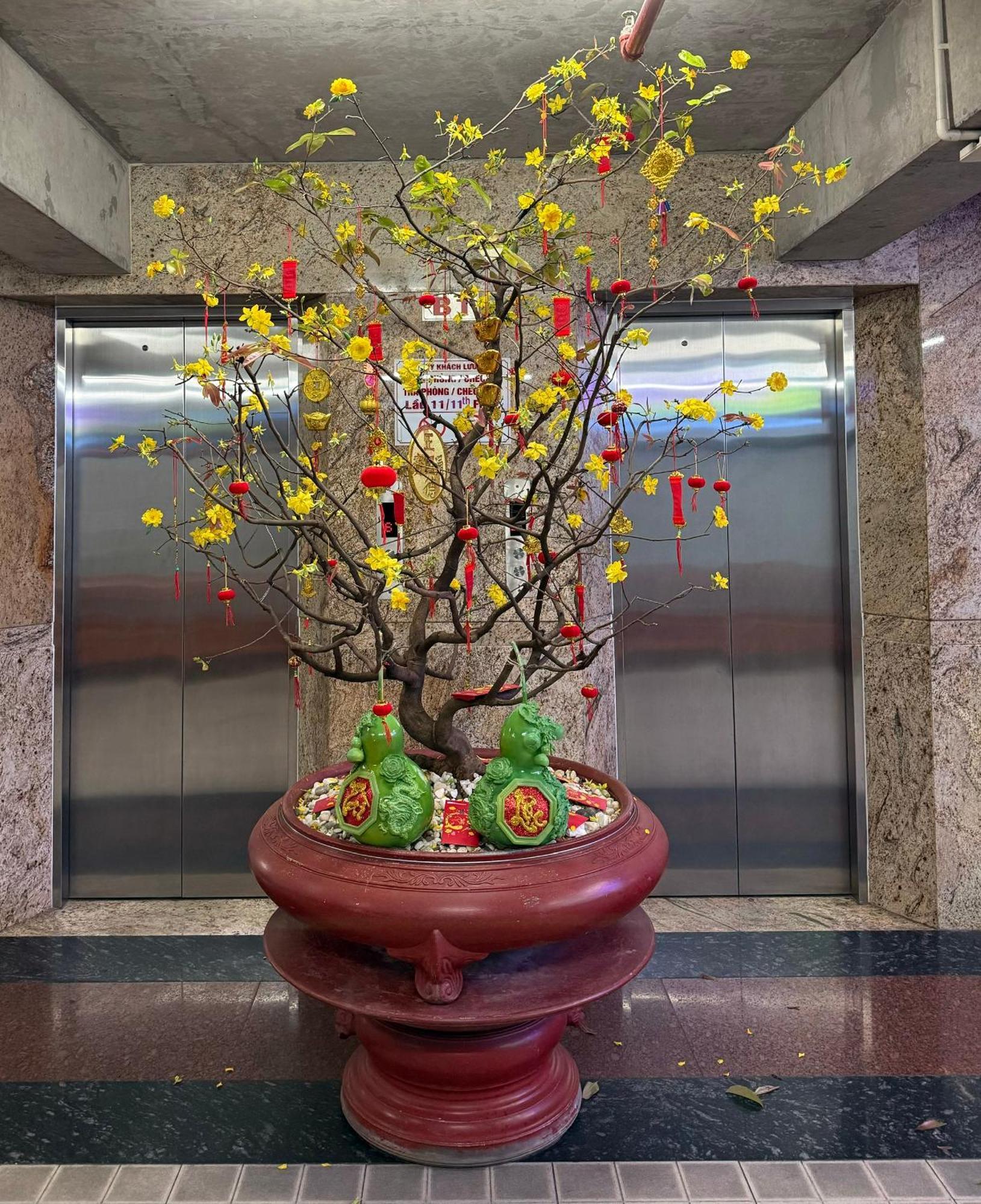 Thien Tai Hotel โฮจิมินห์ซิตี้ ภายนอก รูปภาพ